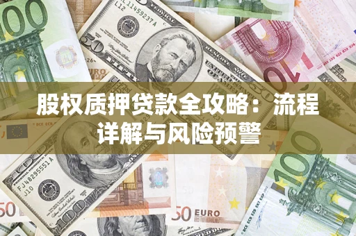 武汉股权质押贷款全攻略：流程详解与风险预警