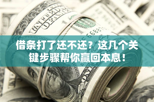 武汉借条打了还不还？这几个关键步骤帮你赢回本息！