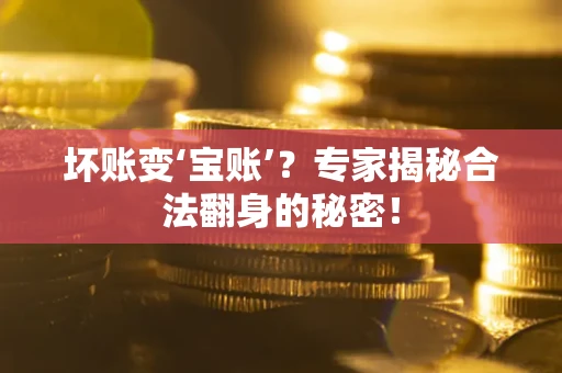 武汉坏账变‘宝账’？专家揭秘合法翻身的秘密！