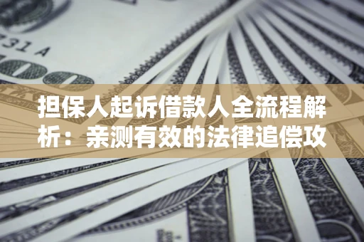 武汉担保人起诉借款人全流程解析：亲测有效的法律追偿攻略