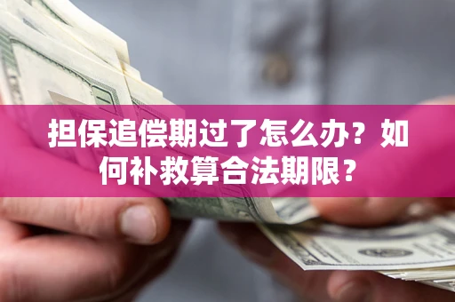 武汉担保追偿期过了怎么办？如何补救算合法期限？