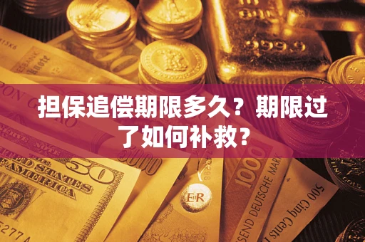 武汉担保追偿期限多久？期限过了如何补救？