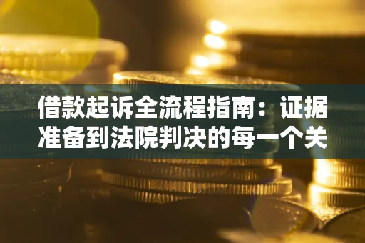 武汉借款起诉全流程指南：证据准备到法院判决的每一个关键步骤
