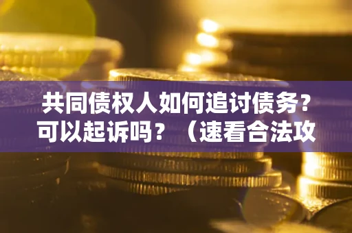武汉共同债权人如何追讨债务？可以起诉吗？（速看合法攻略）