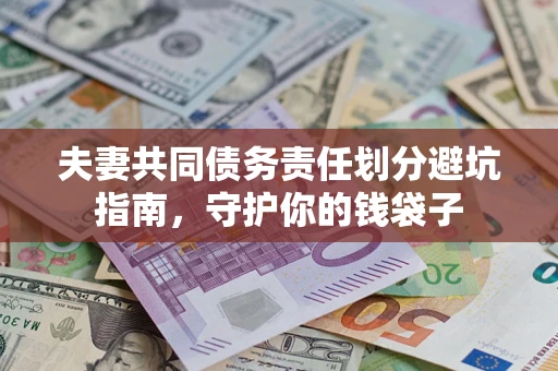 武汉夫妻共同债务责任划分避坑指南，守护你的钱袋子