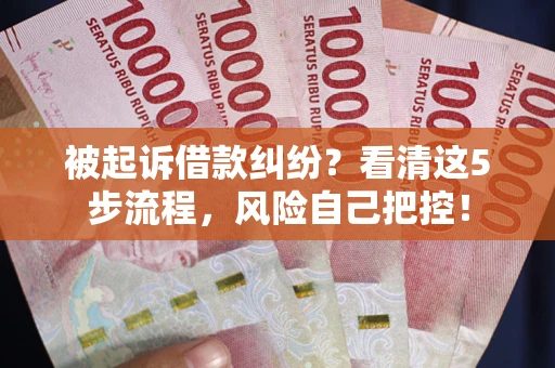 武汉被起诉借款纠纷？看清这5步流程，风险自己把控！