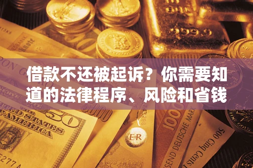 武汉借款不还被起诉？你需要知道的法律程序、风险和省钱技巧