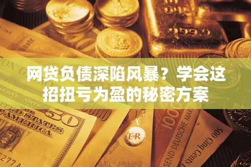 武汉网贷负债深陷风暴？学会这招扭亏为盈的秘密方案