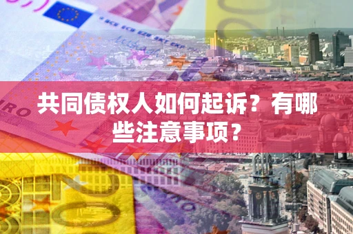 武汉共同债权人如何起诉？有哪些注意事项？